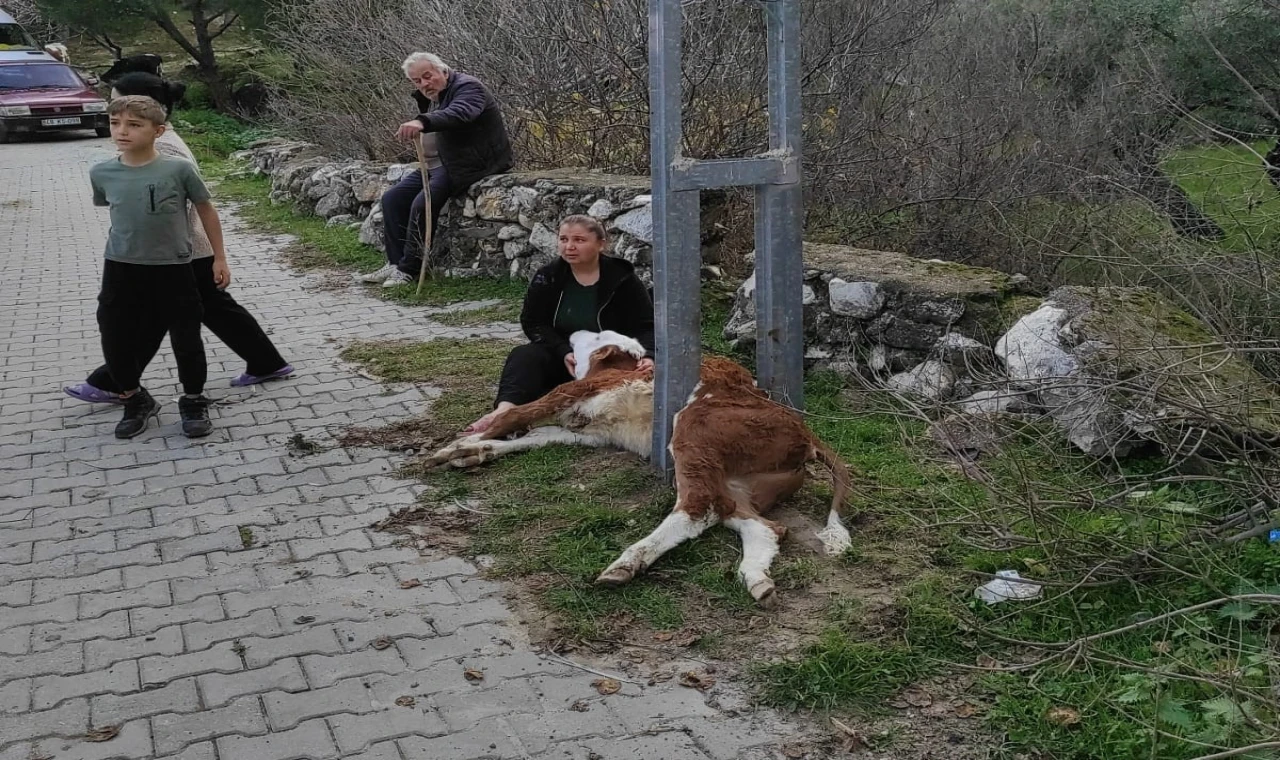 İkiztaş’ta Sevindiren Kurtarma Operasyonu