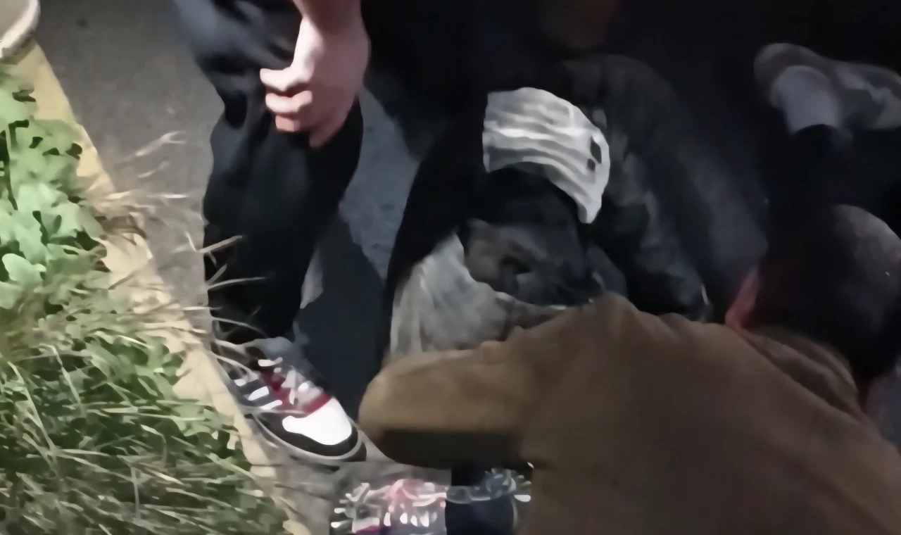 Milas–Bodrum Yolunda Motosiklet Kazası: Sürücü Ağır Yaralandı