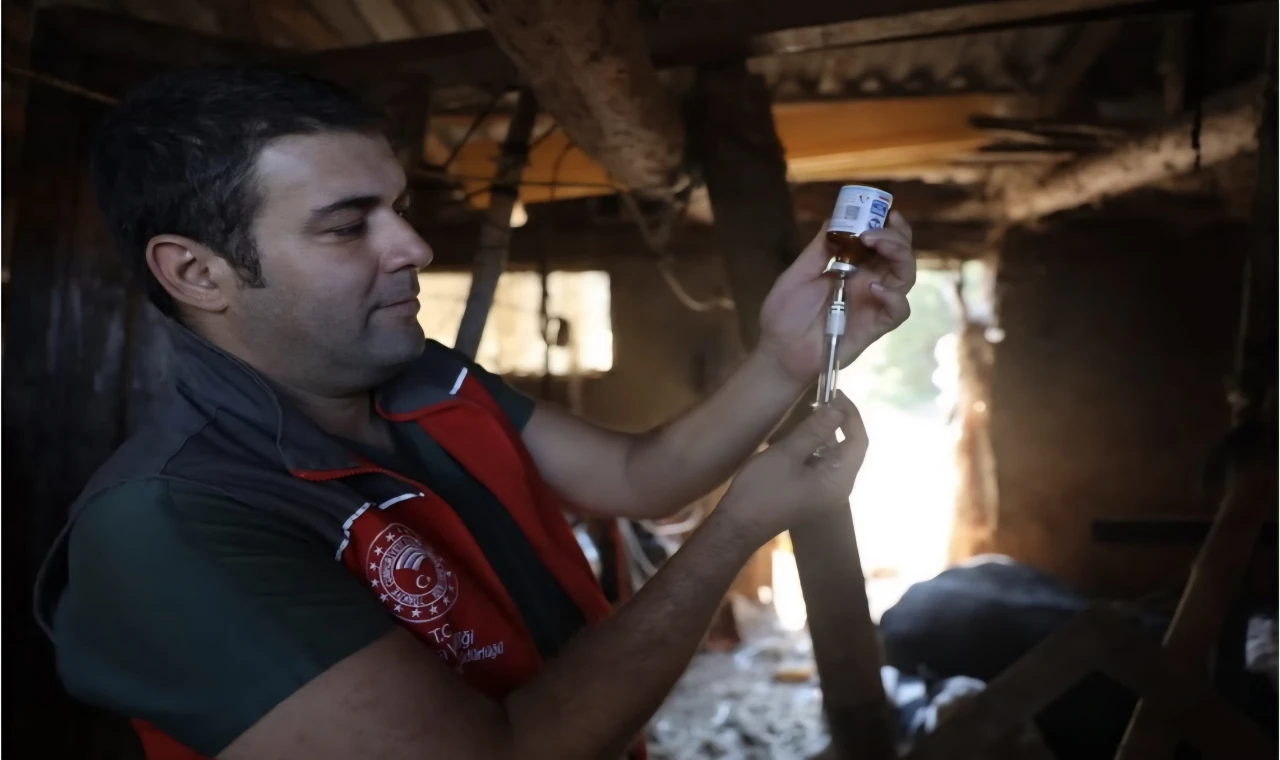 Milas’ta Bir İşletmede “Şap Hastalığı” Tespit Edildi: Bölge Karantinaya Alındı