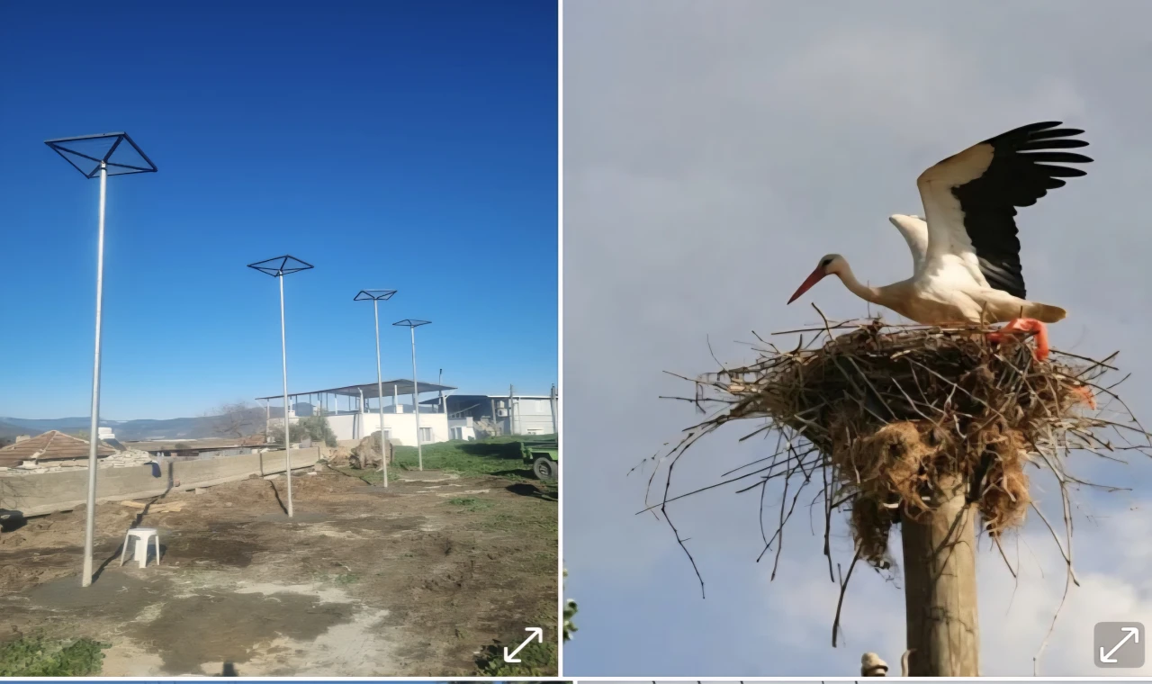 Büyükşehir’den Leylekler İçin Güvenli Yuva