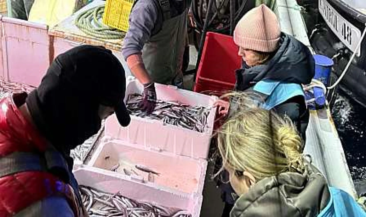 Güllük Körfezi'nde Sıkı Denetim: Balıkçılar Tam Not Aldı