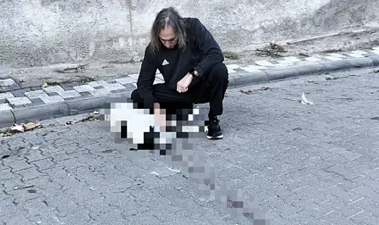 Milas’ta Köpeğe Çarpıp Kaçan Sürücü Tepki Topladı