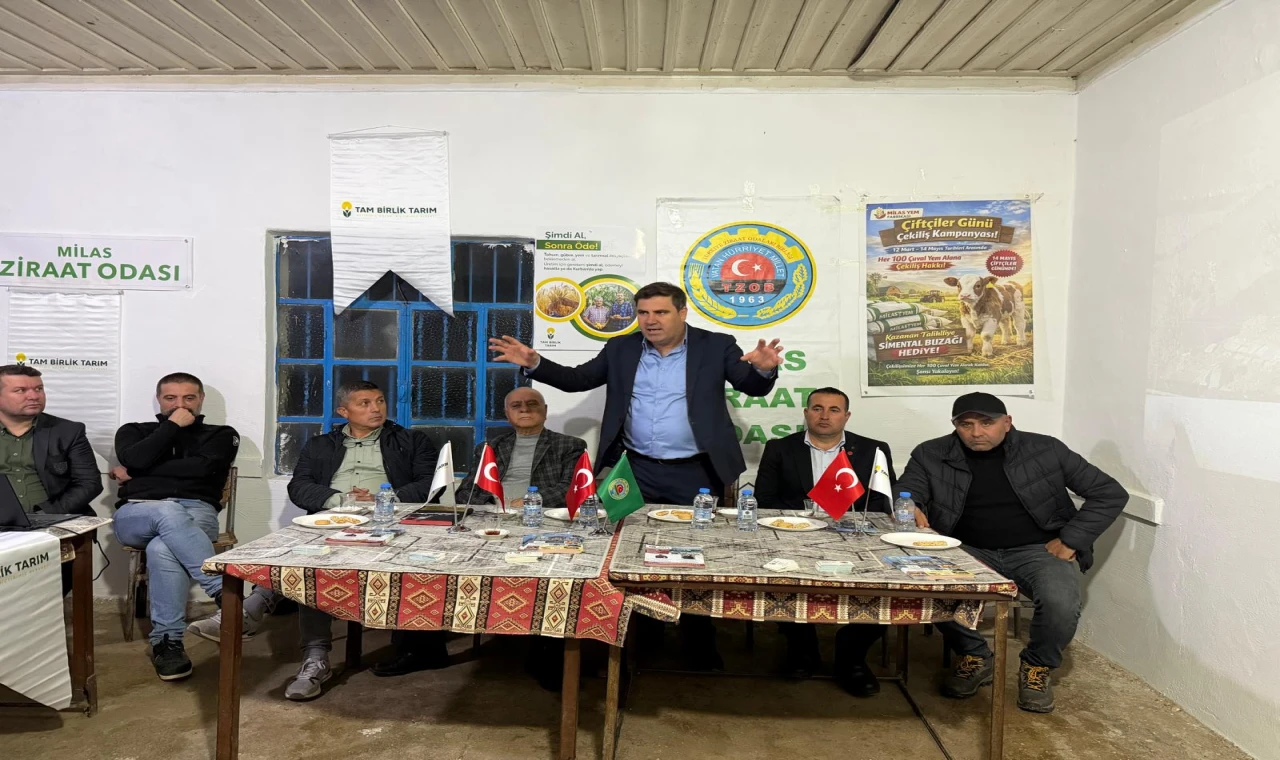 Milaslı Üreticiye Çifte Müjde: Ziraat Odası Süt Alımına Başladı, Yem Maliyeti Düştü