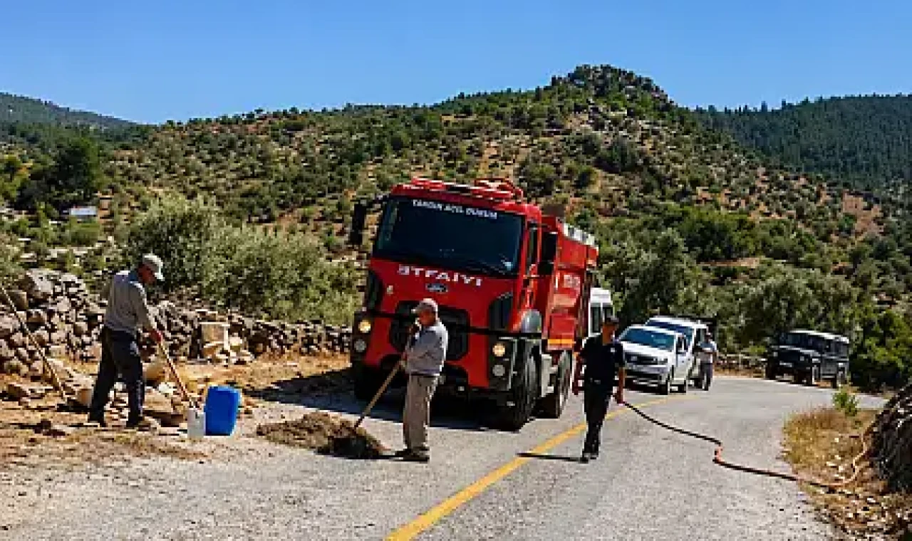 Milas'ta zeytinlik alanda yangın çıktı: Bir kişi dumandan etkilendi