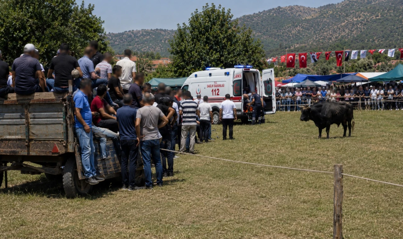 Milas'ta Boğadan kaçarken römorka çarpan vatandaş yaralandı
