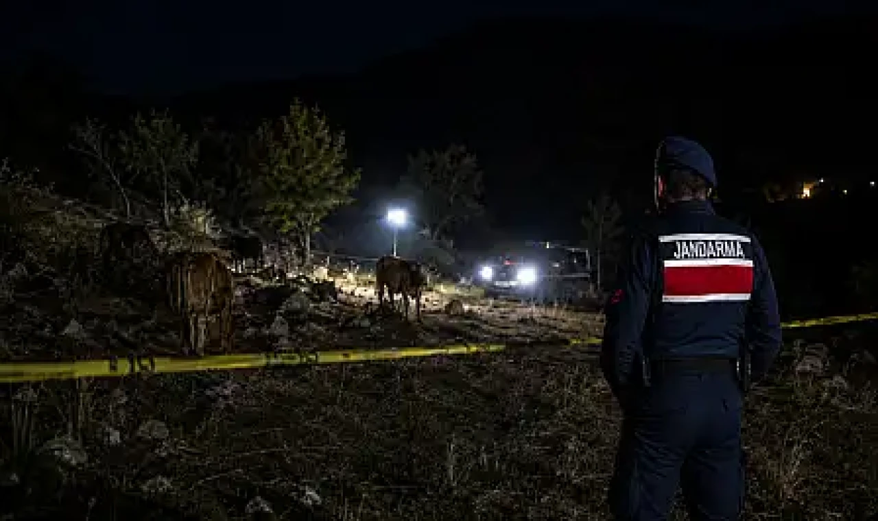 Milas'ta hayvan otlatırken büyükbaş hayvanın darbesine maruz kalan kişi hayatını kaybetti