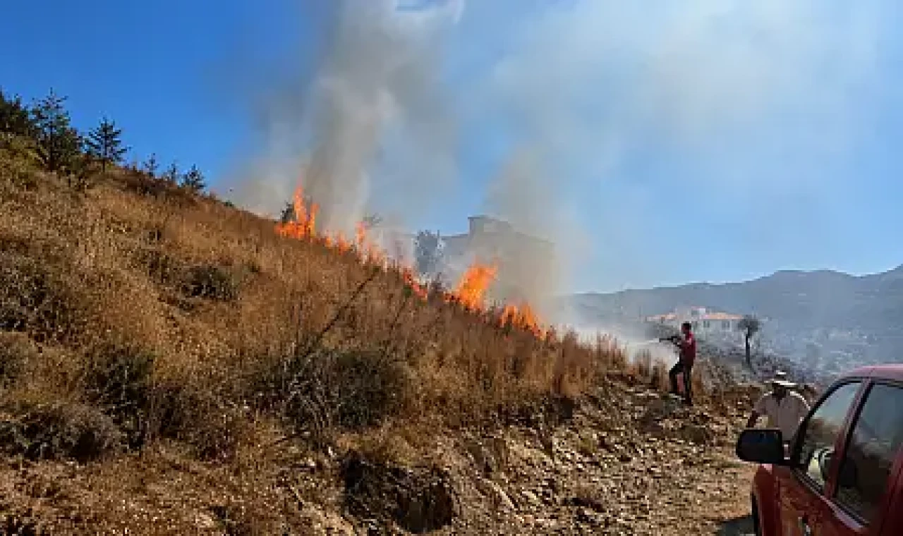 Milas'ta Sarp Arazide Yangın Paniği