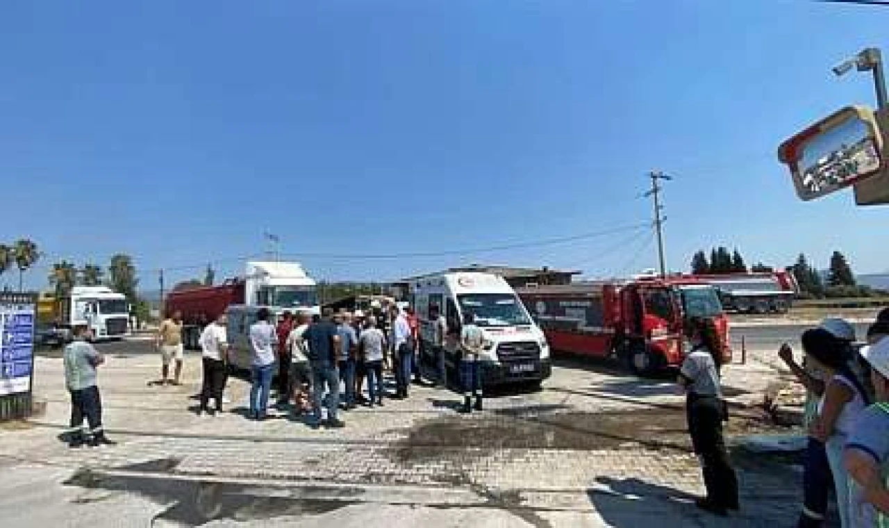 Milas-Güllük Karayolu'nda TIR ile Hafif Ticari Araç Çarpıştı: 1 Yaralı