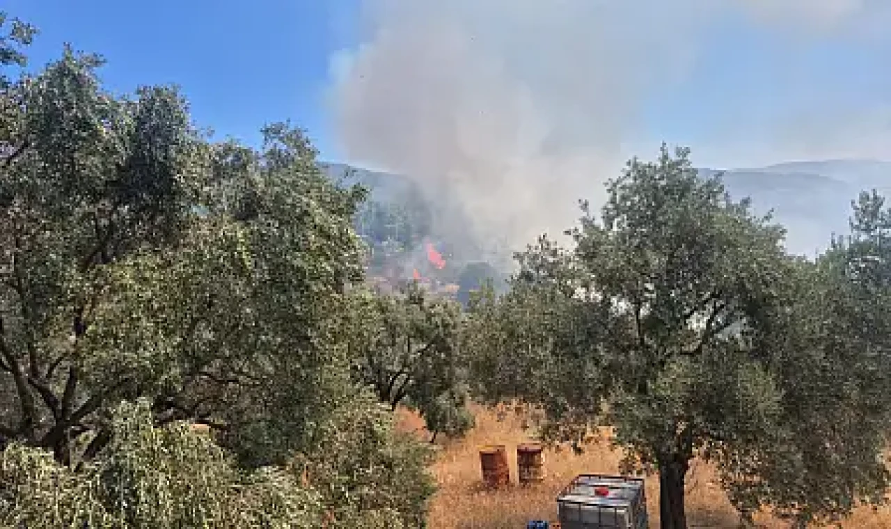 Milas Narhisar Yakınlarındaki Yangın Ormana Sıçramadan Söndürüldü