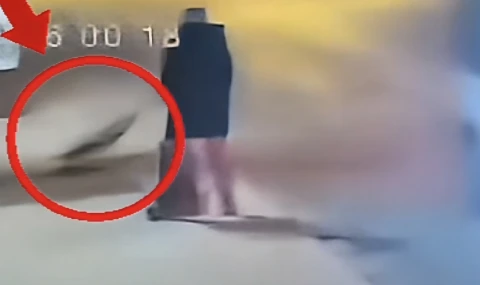 Milas’ta Rögar Kapağı Tehlikesi: Olası Bir Facia Saniyelerle Atlatıldı