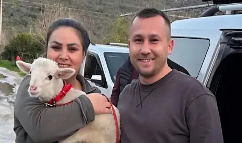 Milas’ta Sevgililer Günü’ne farklı bir dokunuş: Hediye olarak kuzu