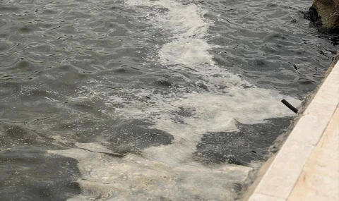 Güllük Sahilinde "Sarı Tabaka" Tartışması: Kirlilik mi, Doğal Olay mı?