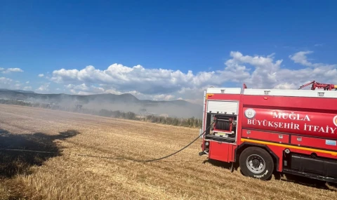 Milas Avşar'da anız yangını