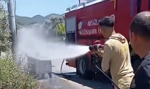 Menteş Mahallesi'ndeki Zeytinlik Alanda  Yangın Çıktı.