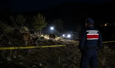 Milas'ta hayvan otlatırken büyükbaş hayvanın darbesine maruz kalan kişi hayatını kaybetti