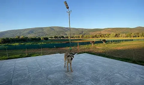 Milas'ta Zor Günleri Geride Bırakan Hope, Sevgi Dolu Bir Ailenin Neşesi Oldu