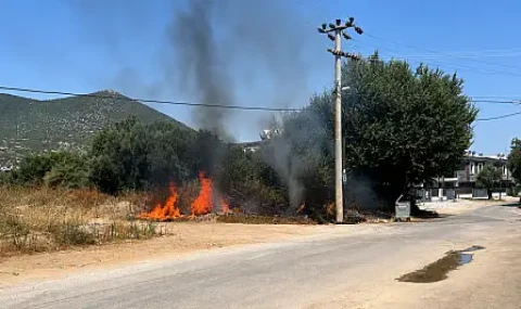 Milas'ta Elektrik Direğinden Çıkan Kıvılcımlar Yangına Neden Oldu